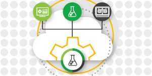 Exploring the Impact of Successful Lab Integrations